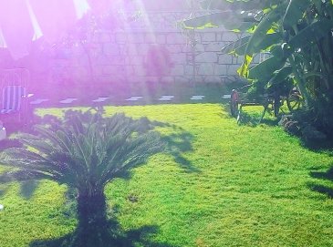 bahçe
